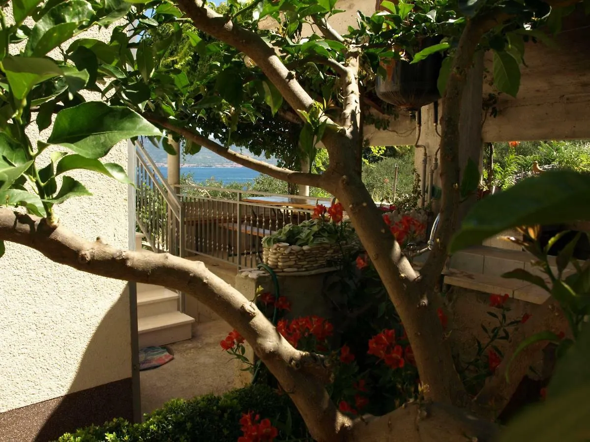 Apartments Ljilja Slatine